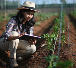 Closeup photo of a farm worker using digital tablet in greenhouse.